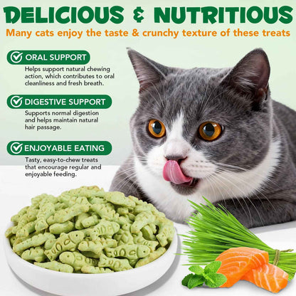 Dental care for cats shouldn’t feel like a fight.