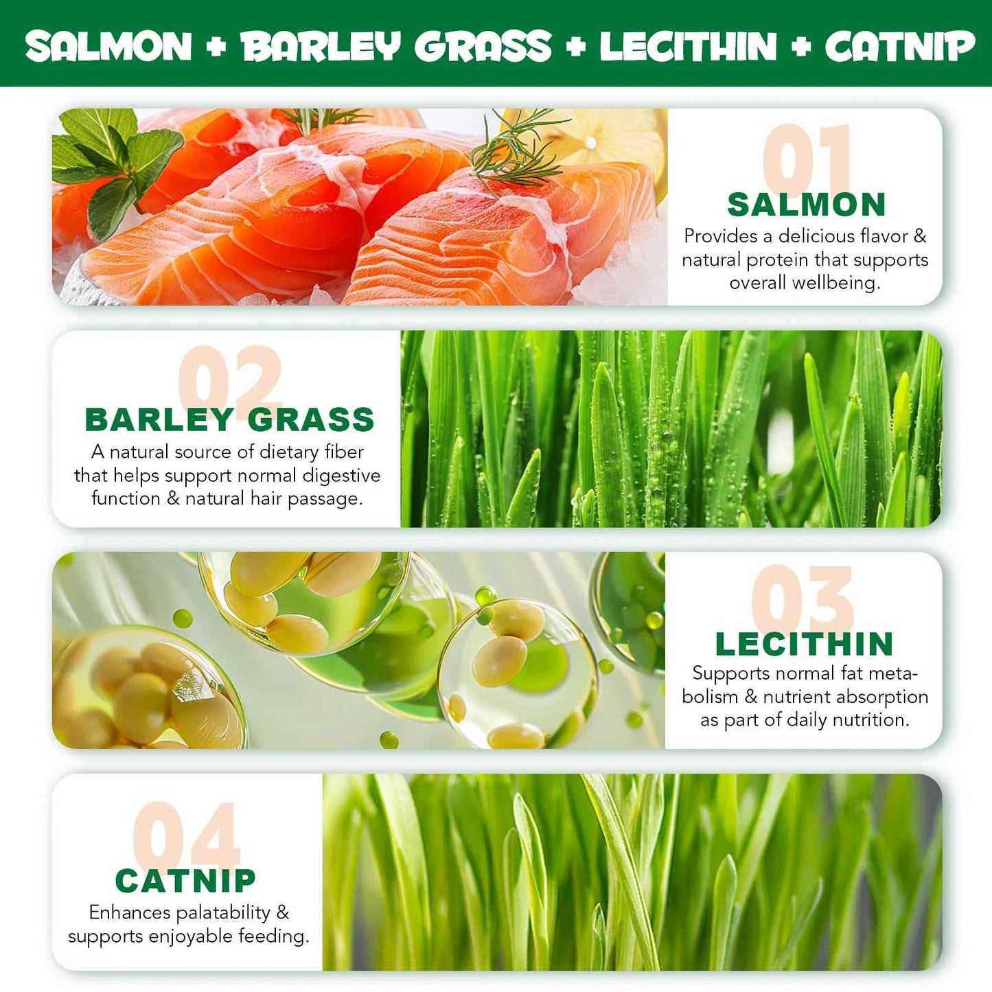 Dental care for cats shouldn’t feel like a fight.