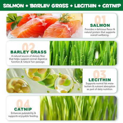 Dental care for cats shouldn’t feel like a fight.