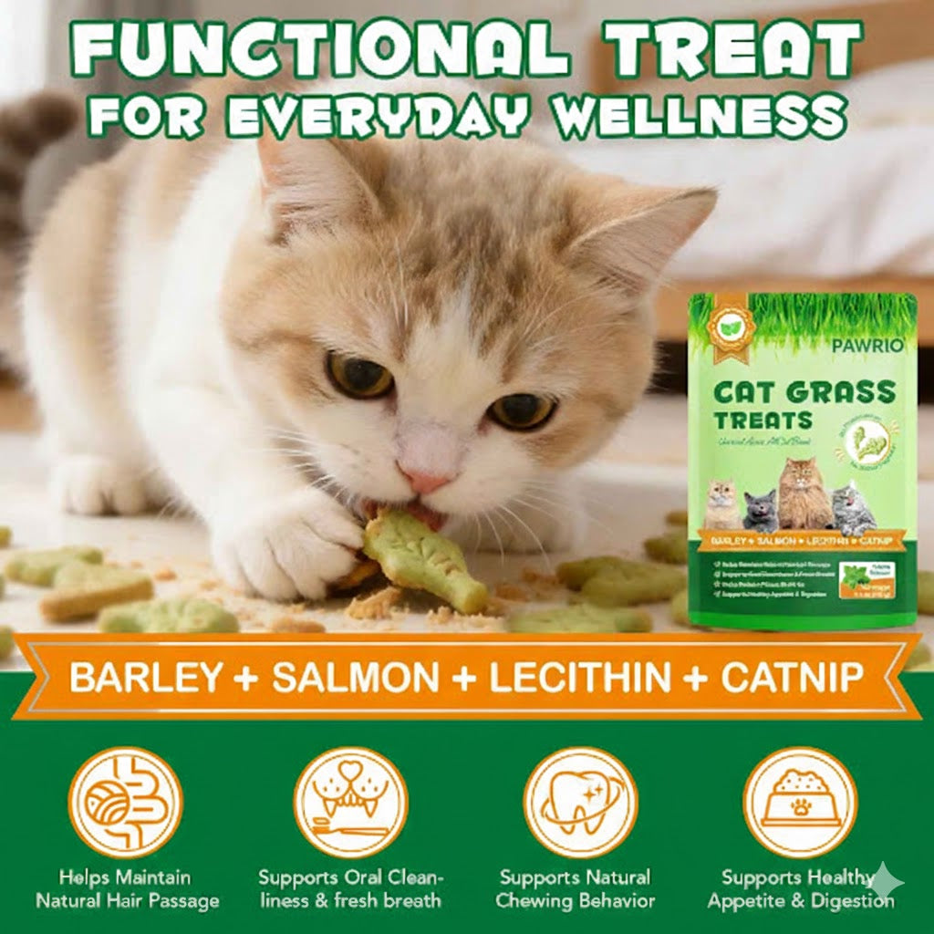 Dental care for cats shouldn’t feel like a fight.