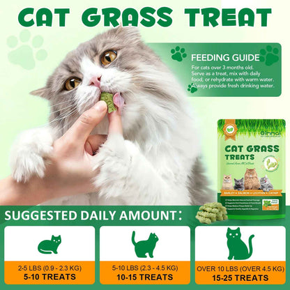 Dental care for cats shouldn’t feel like a fight.