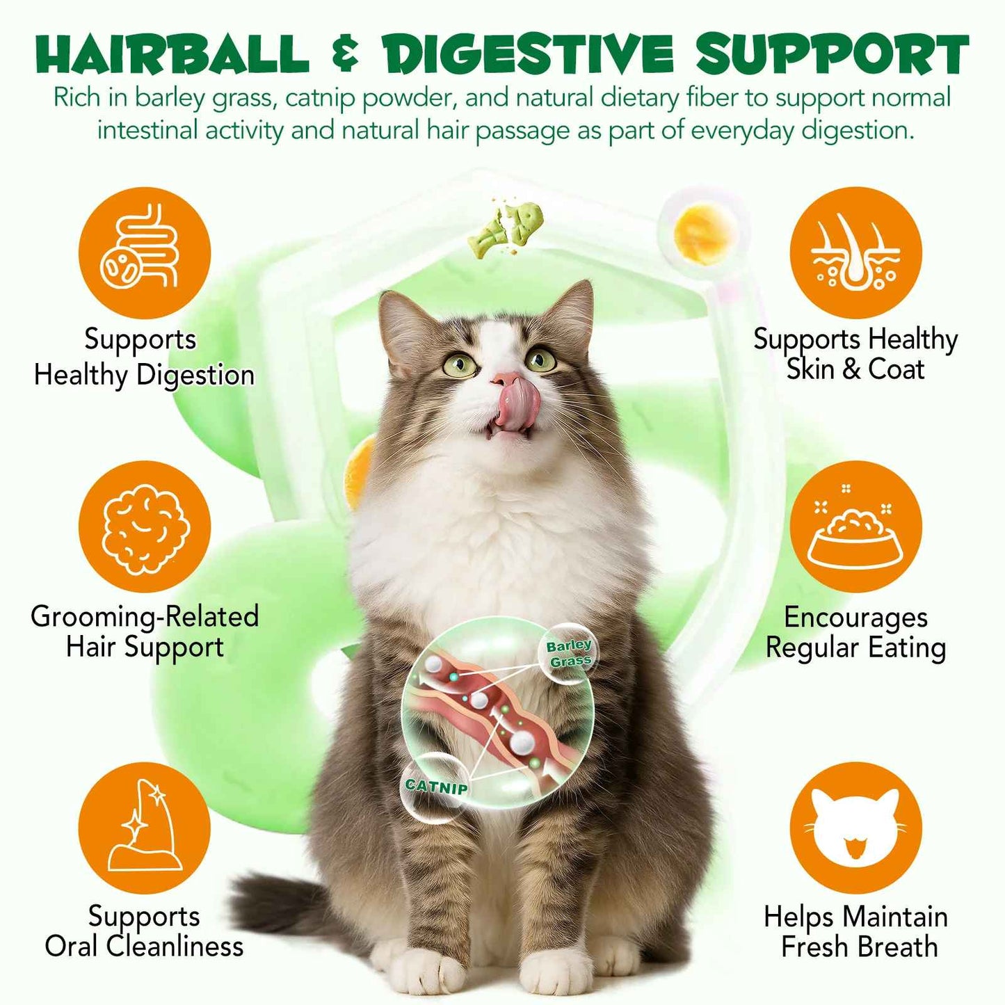 Dental care for cats shouldn’t feel like a fight.